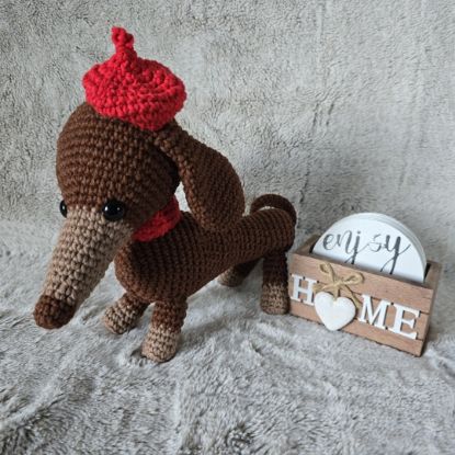 Obrazek Jamnik Marcel