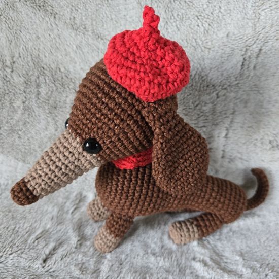 Obrazek Jamnik Marcel