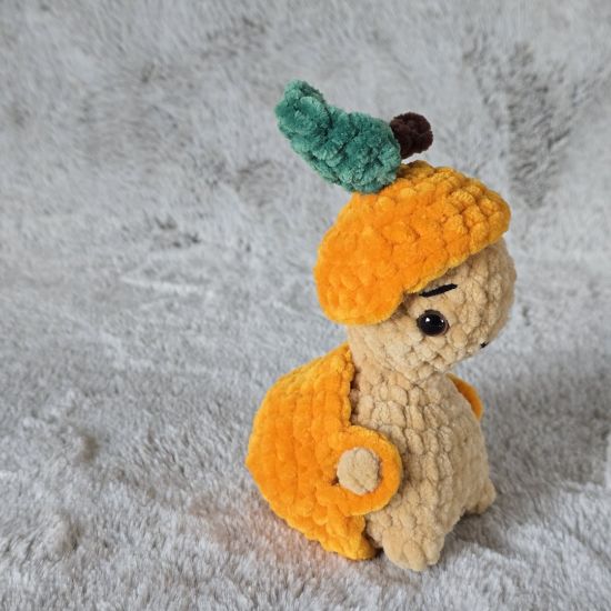 Obrazek Żółw Tymek