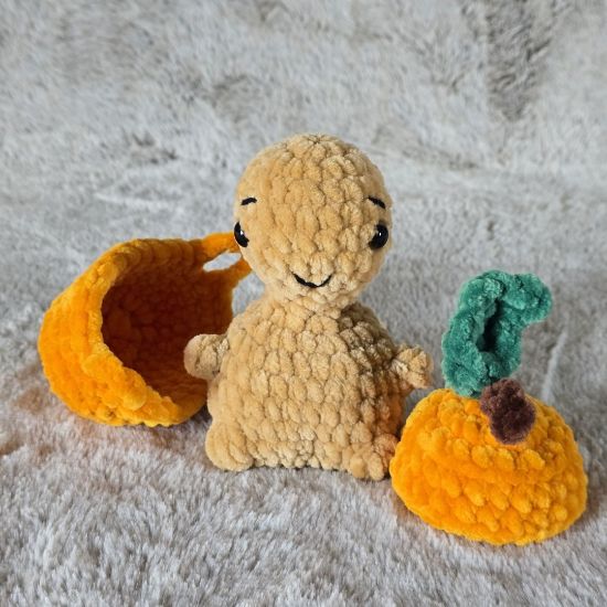 Obrazek Żółw Tymek