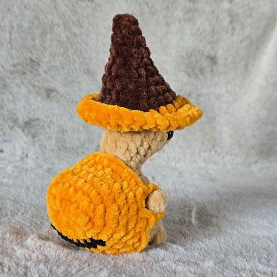 Obrazek Żółw Tymek