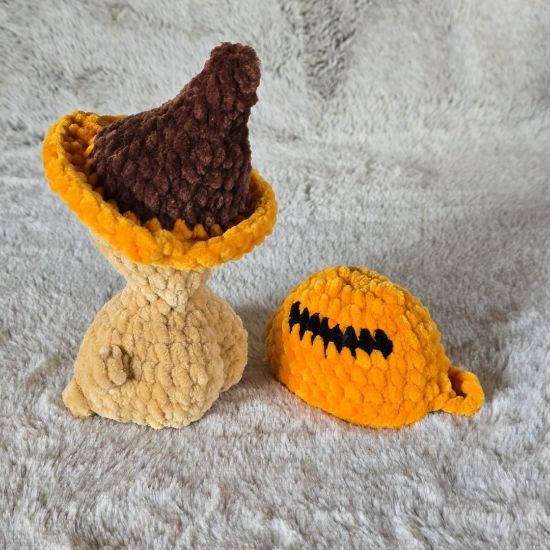 Obrazek Żółw Tymek