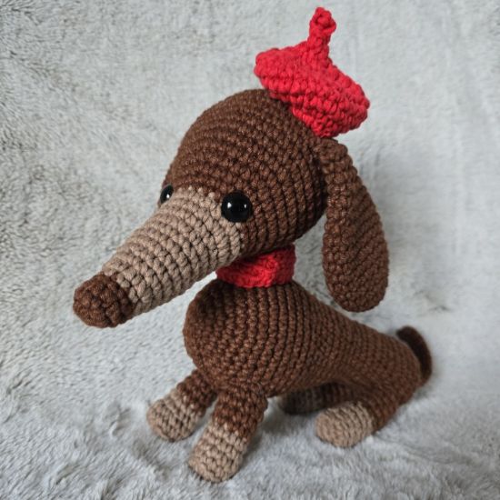 Obrazek Jamnik Marcel