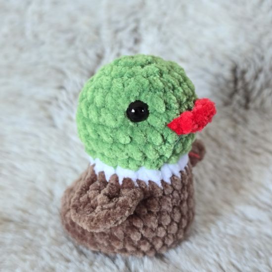 Obrazek Kaczorek Kapi