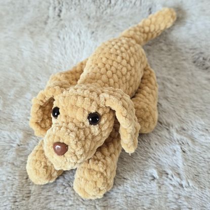 Obrazek Piesek Borys