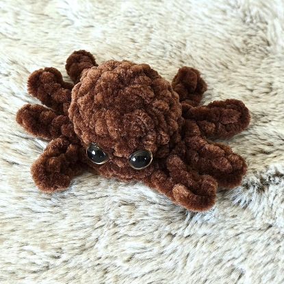 Obrazek Puchaty pająk Arani